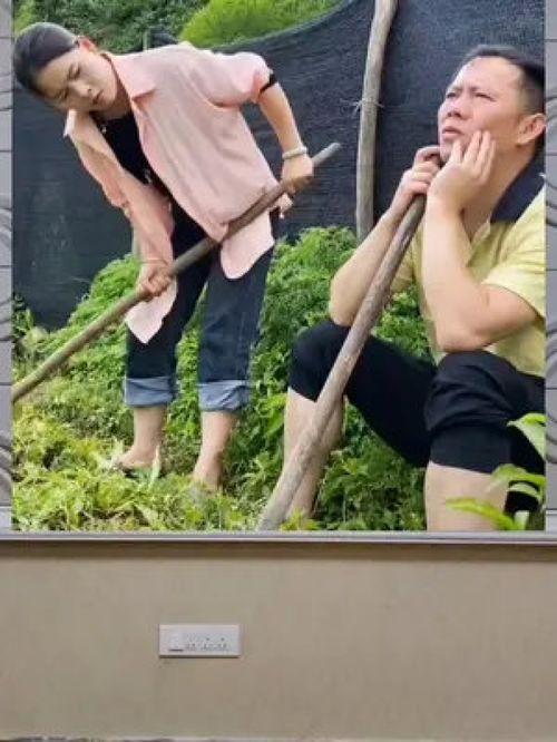 cos娱乐吃瓜群众一号,揭秘吃瓜群众一号的幕后故事